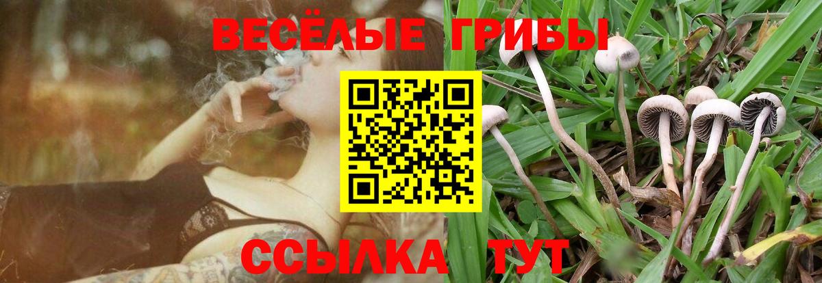 Губкин  где продают   Вход с VPN  Псилоцибиновые грибы Magic Shrooms  Псилоцибиновые грибы мицелий 